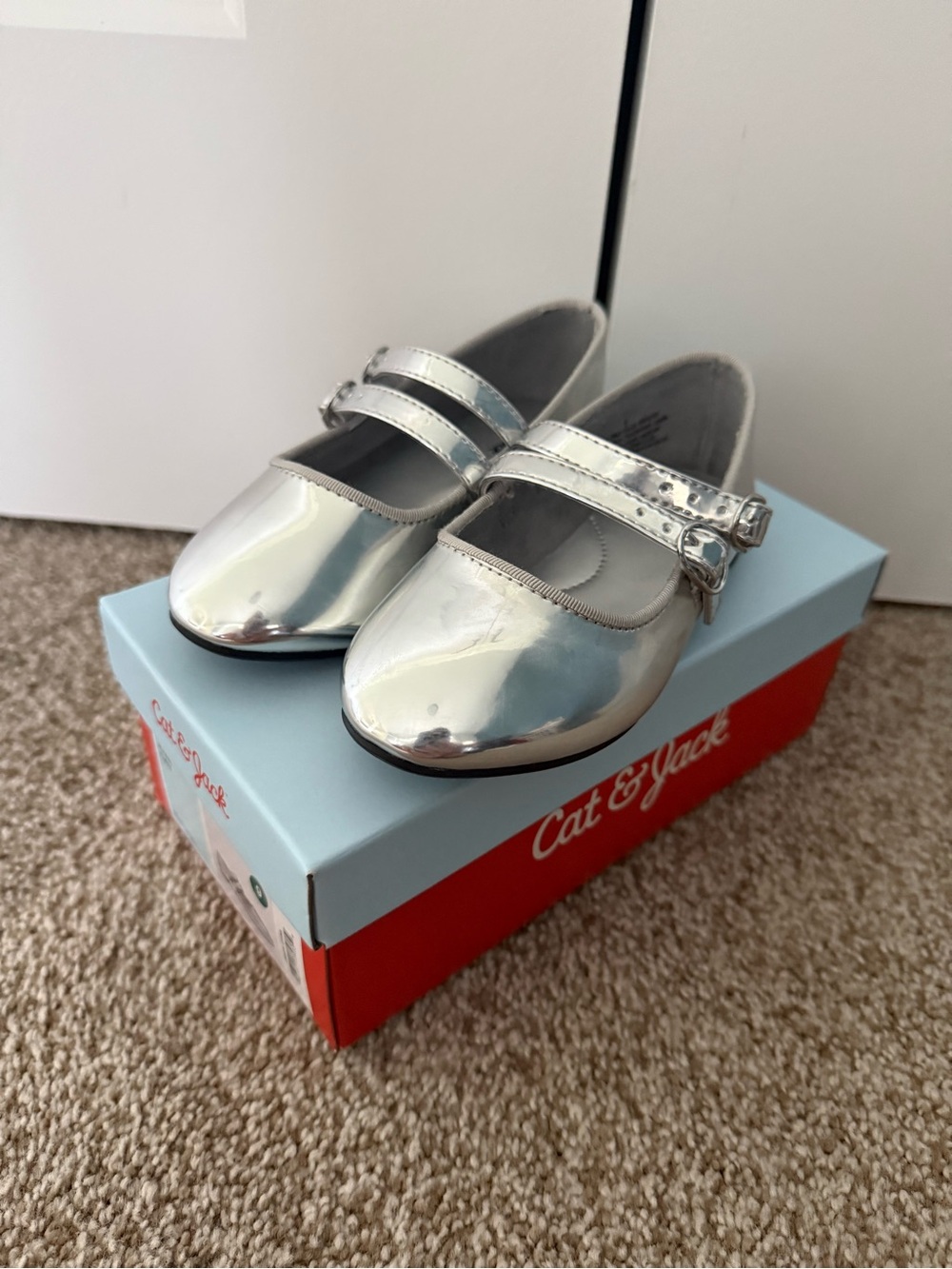 silver ballet flats